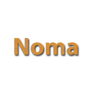 Anfragen Archiv für Noma