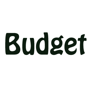 Anfragen Archiv für Budget