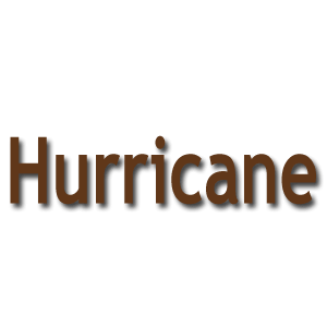 Anfragen Archiv für Hurricane